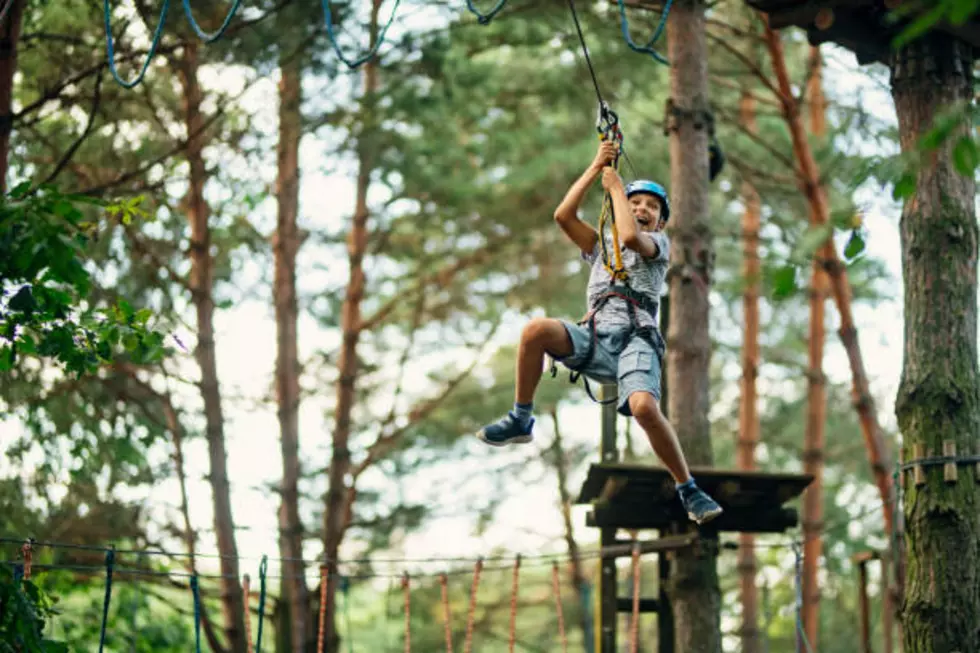 Explore the Swamp With This Louisiana Zip-Line Adventure