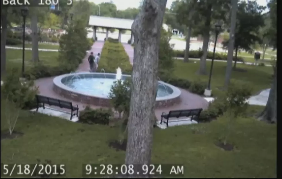 Update: Book Vandals Turn Themselves In to Authorities