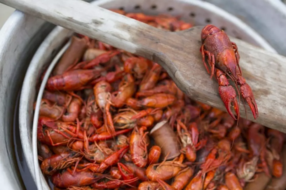 Experts Have Great News About The 2025 Louisiana Crawfish Season