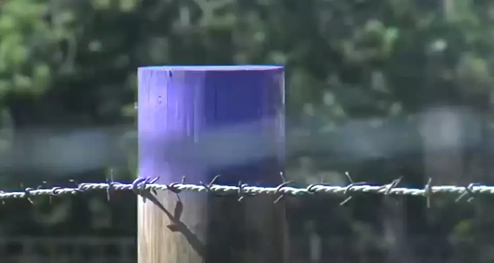 Texas Residents On Edge As Purple Warnings Appear In State