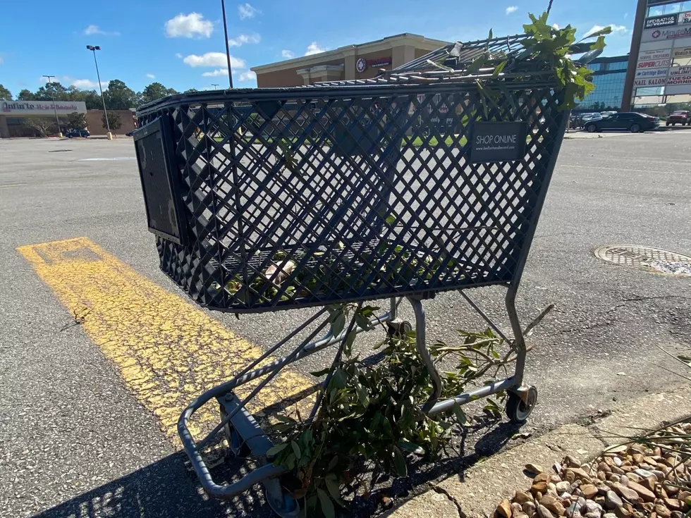 Delta Photos from Around Acadiana in a Way You’ve Never Seen Them
